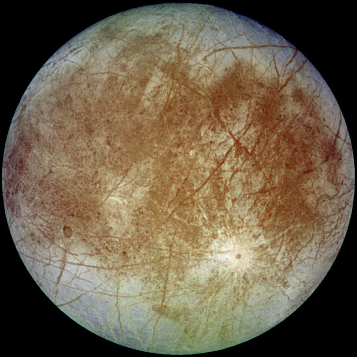 木星の衛星エウロパ。氷の表面を走る黒っぽい長い線は、割れ目だという。