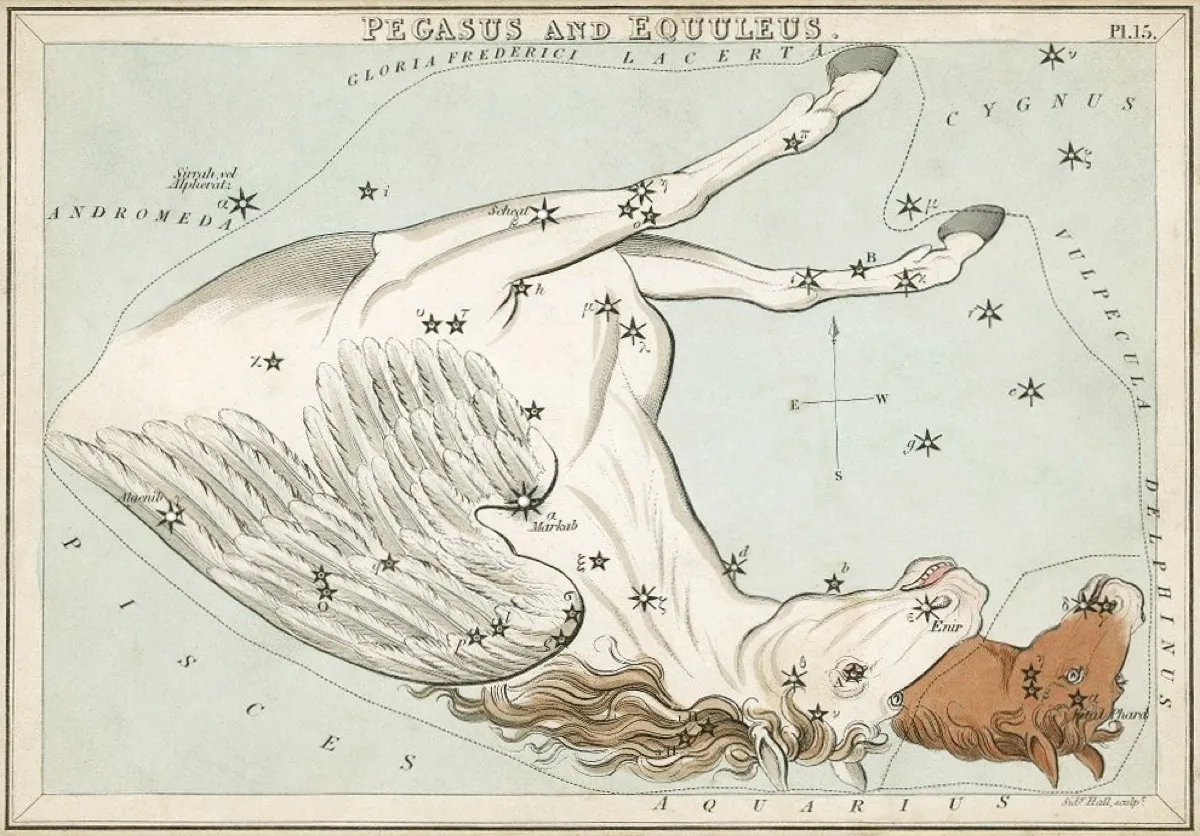 19世紀の星座カードに描かれたペガスス座。星の並びに合わせて、翼のある馬が逆さまに描かれている。