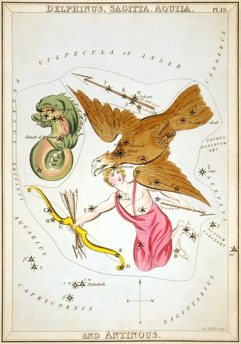 星座カード『ウラニアの鏡』(1825年)のいるか座