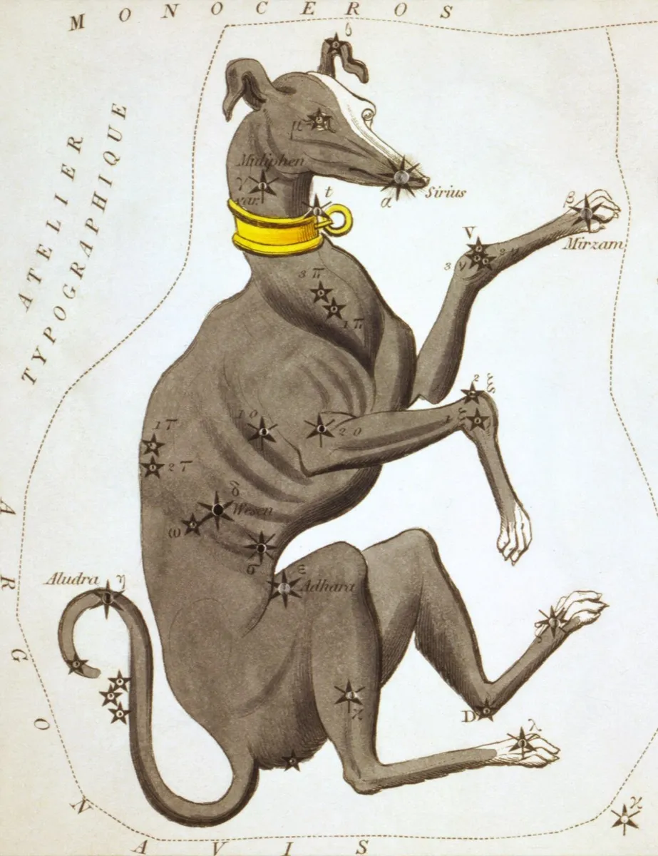 星座カード『ウラニアの鏡』(1825年)のおおいぬ座
