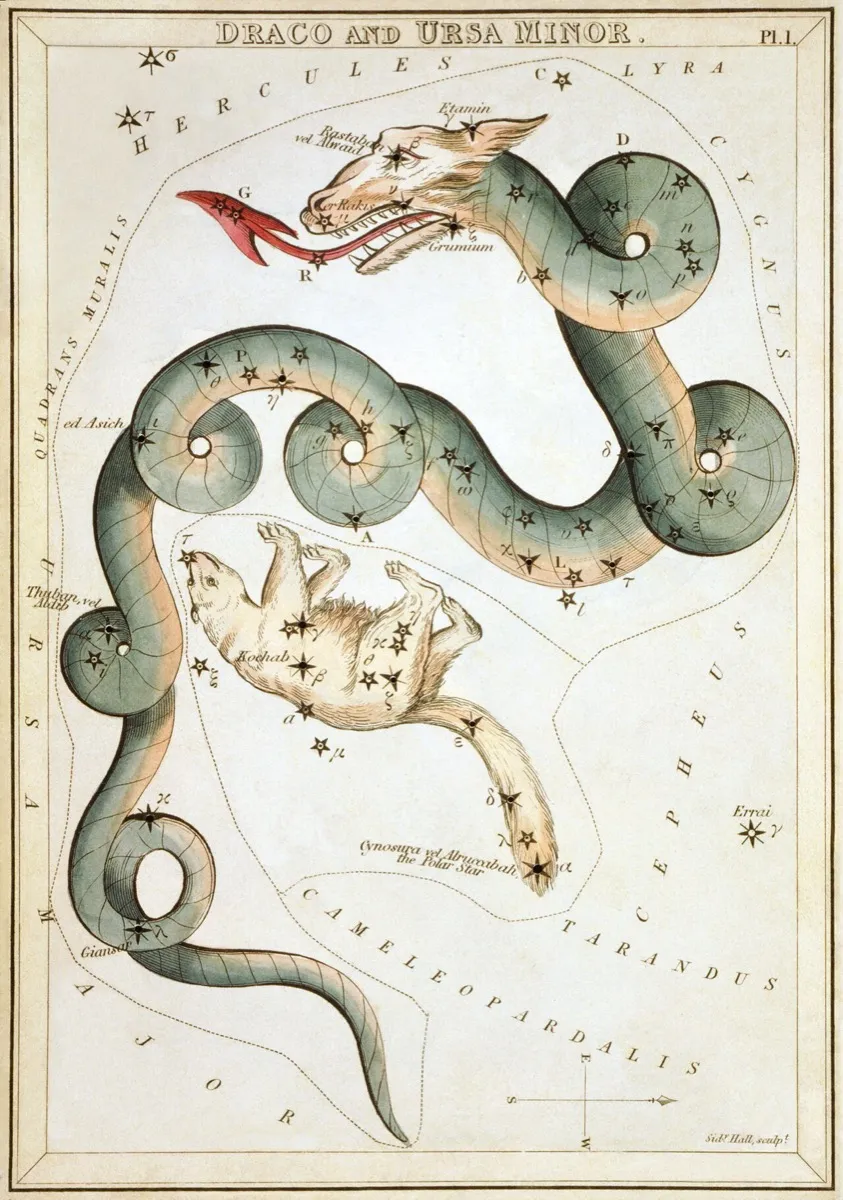 星座カード『ウラニアの鏡』(1825年)のりゅう座